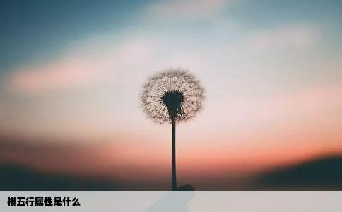 祺五行属性是什么