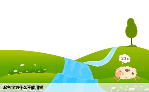 起名字为什么不能用睿