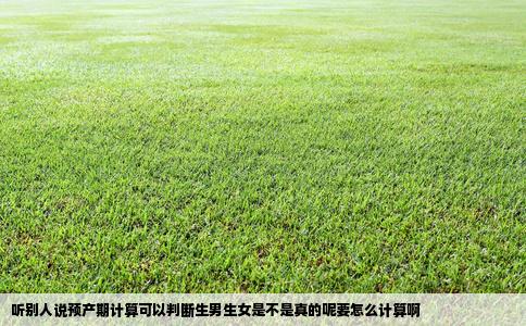 听别人说预产期计算可以判断生男生女是不是真的呢要怎么计算啊