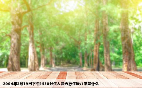 2004年2月19日下午1530分生人是五行生辰八字是什么