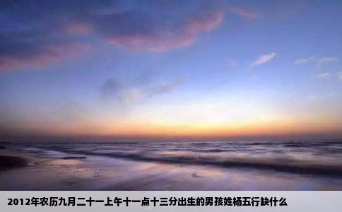 2012年农历九月二十一上午十一点十三分出生的男孩姓杨五行缺什么
