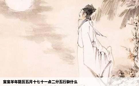 宝宝羊年阴历五月十七十一点二分五行缺什么