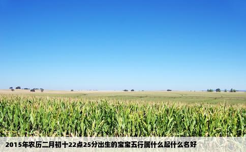 2015年农历二月初十22点25分出生的宝宝五行属什么起什么名好