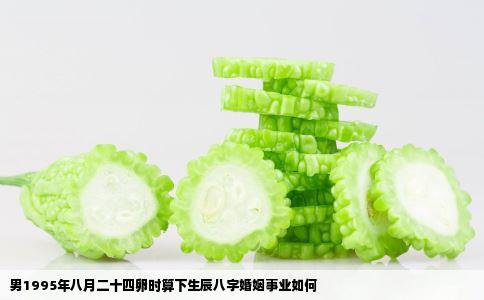 男1995年八月二十四卵时算下生辰八字婚姻事业如何