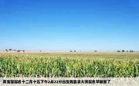 男宝宝起名十二月十五下午2点22分出生姓陈求大师起名字谢谢了