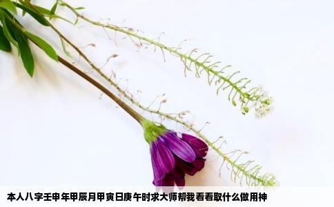 本人八字壬申年甲辰月甲寅日庚午时求大师帮我看看取什么做用神