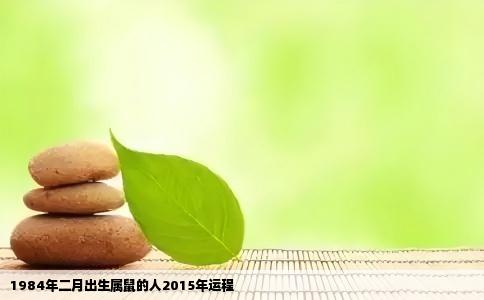 1984年二月出生属鼠的人2015年运程