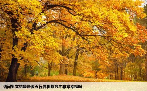 请问男女结婚是要五行属相都合才非常幸福吗