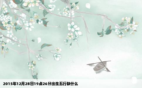 2015年12月28日19点26分出生五行缺什么