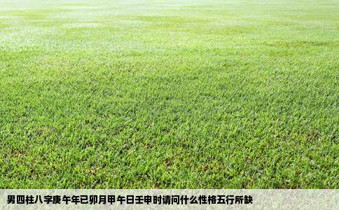 男四柱八字庚午年已卯月甲午日壬申时请问什么性格五行所缺