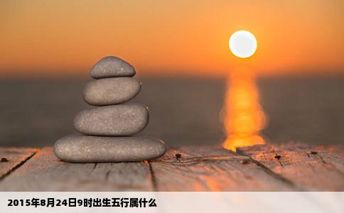 2015年8月24日9时出生五行属什么
