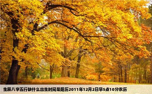 生辰八字五行缺什么出生时间是阳历2011年12月2日早5点10分农历