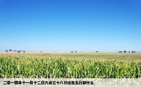 二零一四年十一月十二日六点三十八分出生五行缺什么
