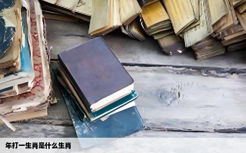 年打一生肖是什么生肖