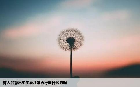 有人会算出生生辰八字五行缺什么的吗