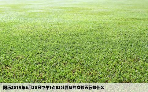 阳历2019年6月30日中午1点53分属猪的女孩五行缺什么
