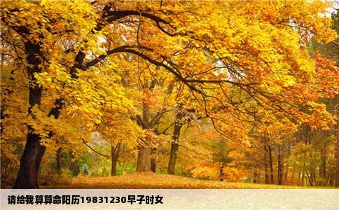 请给我算算命阳历19831230早子时女