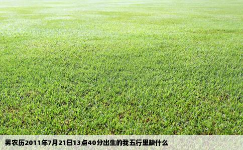 男农历2011年7月21日13点40分出生的我五行里缺什么