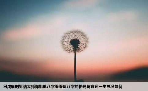 日戊申时男请大师详批此八字看看此八字的格局与官运一生总况如何