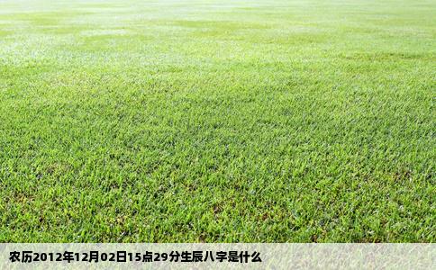 农历2012年12月02日15点29分生辰八字是什么