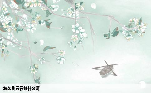 怎么测五行缺什么啊