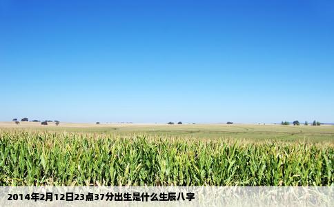 2014年2月12日23点37分出生是什么生辰八字