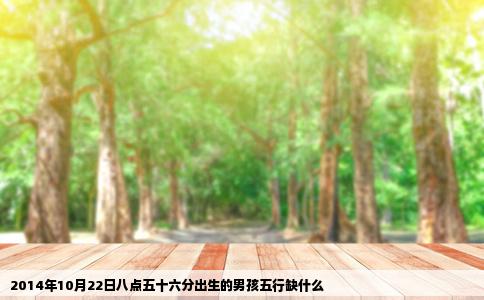 2014年10月22日八点五十六分出生的男孩五行缺什么
