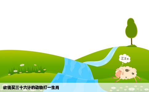 欲钱买三十六计的动物打一生肖