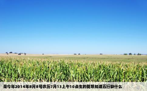 是今年2014年8月8号农历7月13上午10点生的我想知道五行缺什么