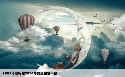 1987年属相给2016年的属相合不合