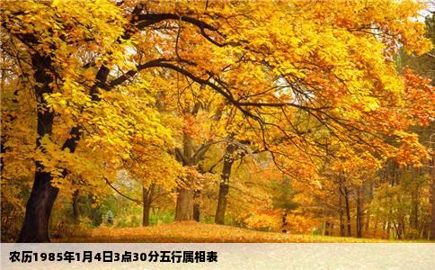 农历1985年1月4日3点30分五行属相表