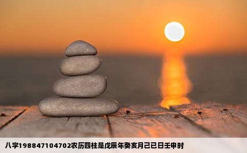 八字198847104702农历四柱是戊辰年癸亥月己已日壬申时