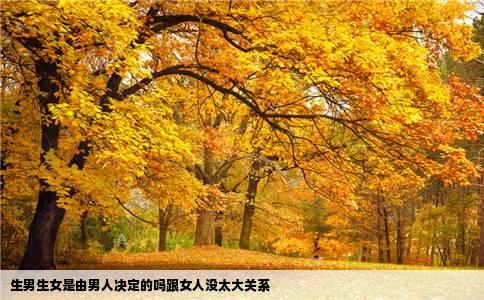 生男生女是由男人决定的吗跟女人没太大关系