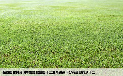 在我国古典诗词中曾经提到国十二生肖说来十分有趣你能从十二