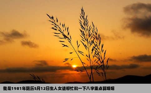 我是1981年阴历5月12日生人女请帮忙批一下八字重点算婚姻