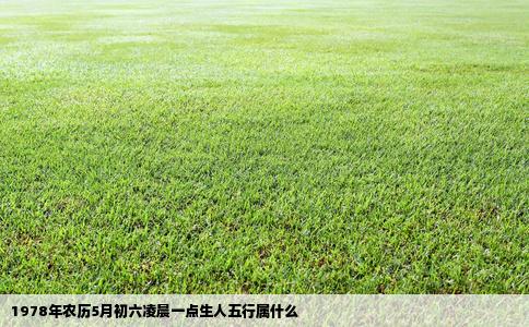 1978年农历5月初六凌晨一点生人五行属什么