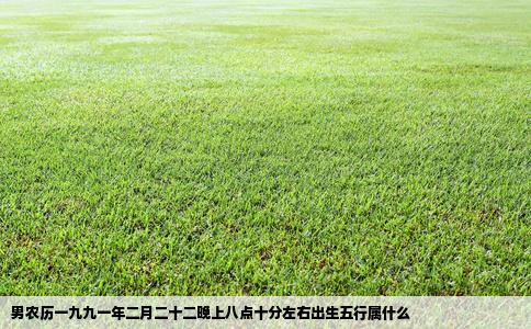 男农历一九九一年二月二十二晚上八点十分左右出生五行属什么