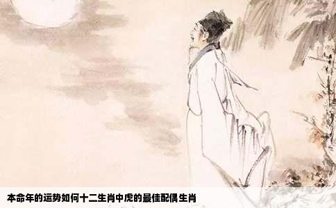 本命年的运势如何十二生肖中虎的最佳配偶生肖