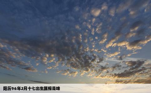 阳历96年2月十七出生属相是啥