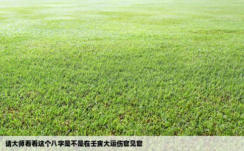 请大师看看这个八字是不是在壬寅大运伤官见官