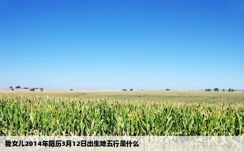 我女儿2014年阳历3月12日出生她五行是什么