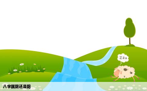 八字属阴还是阳