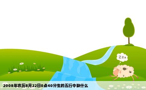 2008年农历8月22日0点40分生的五行中缺什么