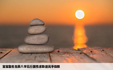 宝宝取名生辰八字五行属性求助请高手指教