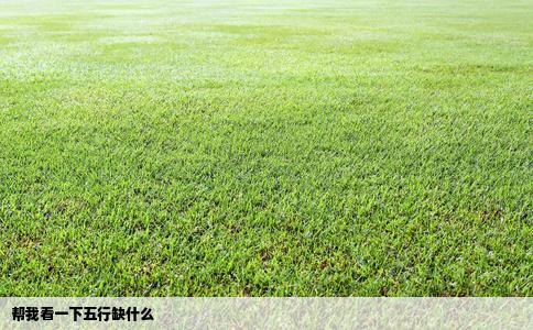 帮我看一下五行缺什么