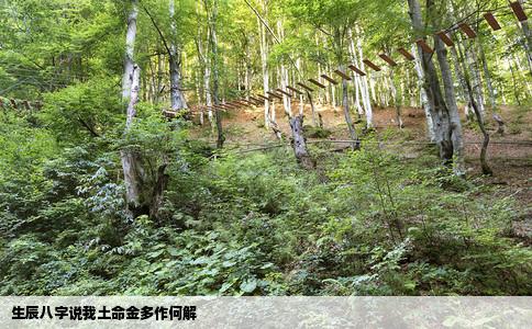 生辰八字说我土命金多作何解