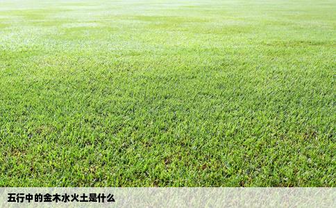 五行中的金木水火土是什么