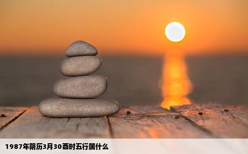 1987年阴历3月30酉时五行属什么
