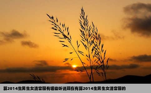 算2014生男生女清宫图有哪些听说现在有算2014生男生女清宫图的