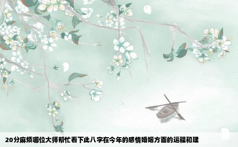 20分麻烦哪位大师帮忙看下此八字在今年的感情婚姻方面的运程和建